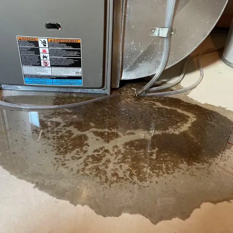 Appliance Leak Cleanup in Beaver County, OK